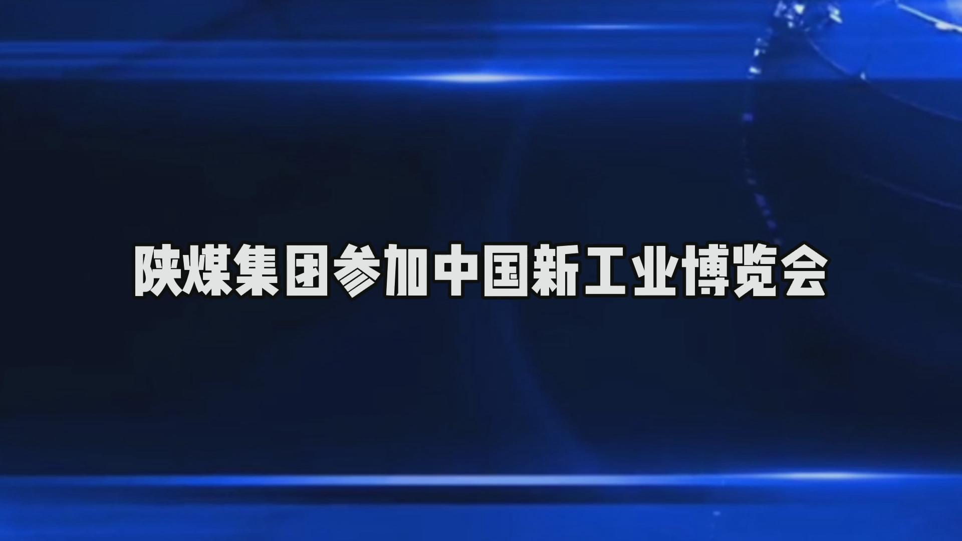 ������Ǯlzyq88(�й�)���޹�˾