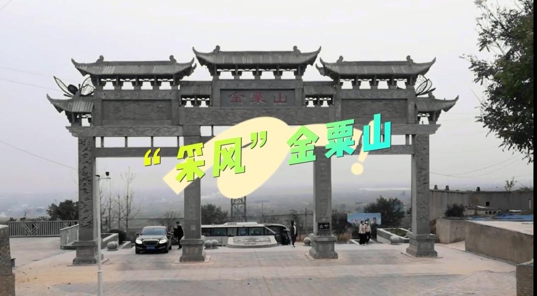 ������Ǯlzyq88(�й�)���޹�˾
