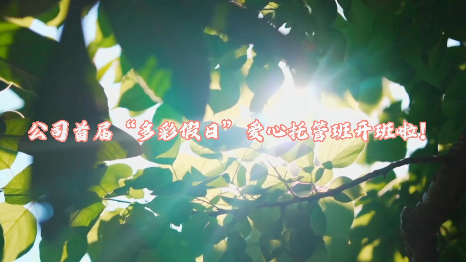 ������Ǯlzyq88(�й�)���޹�˾