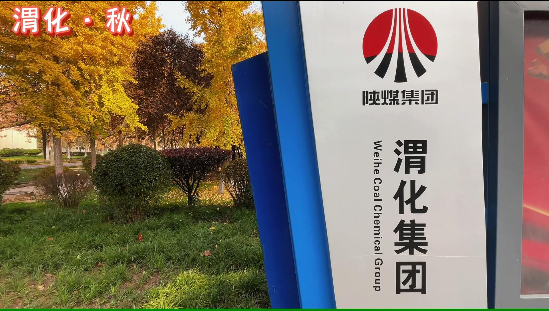 ������Ǯlzyq88(�й�)���޹�˾